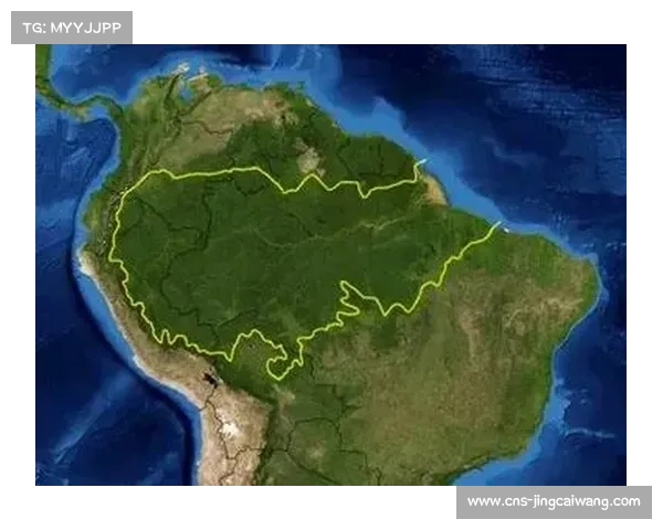 亚马逊州政府注资建设雨林球场推动偏远地区青训发展