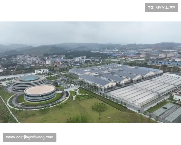 亚狮龙锦屏工厂扩产推动人造球出口量增长40%促进产业升级 亚狮龙锦屏工厂扩产推动人造球出口量增长40%促进产业升级